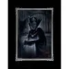 Disney Art Print - Heartless Evil Queen Deluxe Print -Gallery Of Lights Shop 7409055781984