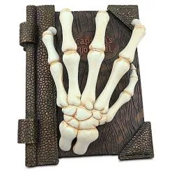 Disney Medium Figure - Captain's Journal Box