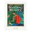Disney Story Book Deluxe Art Print - Sleeping Beauty -Gallery Of Lights Shop 7509055890305